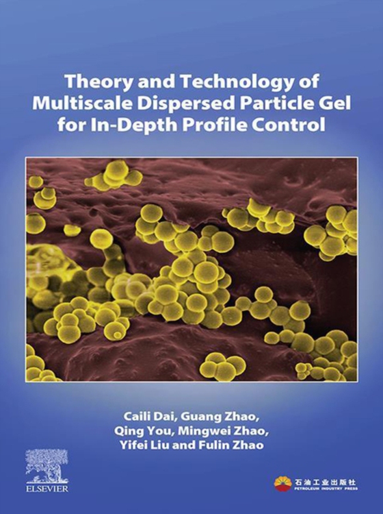 Theory and Technology of Multiscale Dispersed Particle Gel for In-Depth Profile Control (e-bog) af Zhao, Fulin