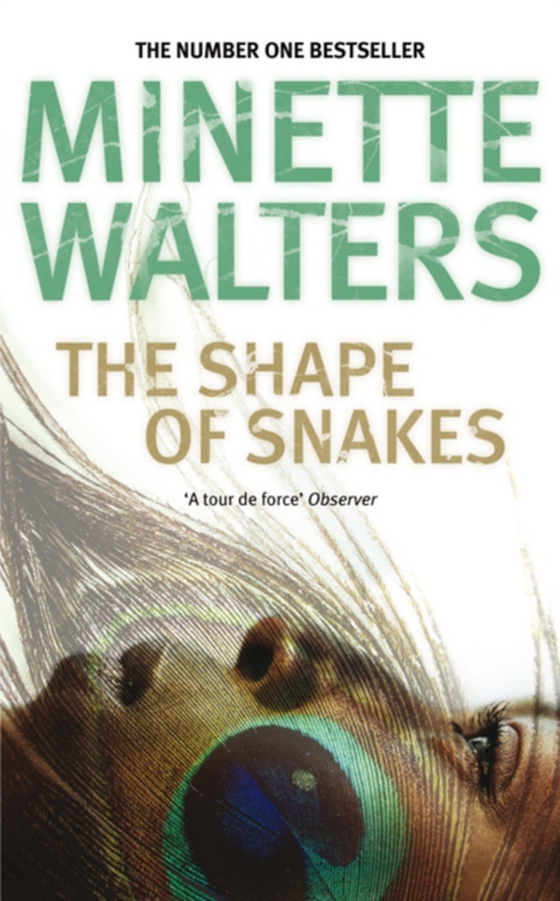 Shape of Snakes (e-bog) af Walters, Minette