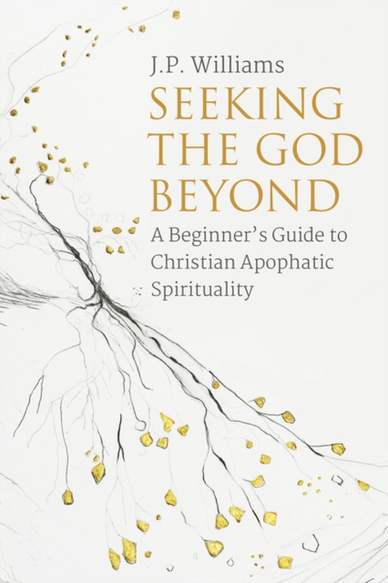 Seeking the God Beyond (e-bog) af Williams, Janet