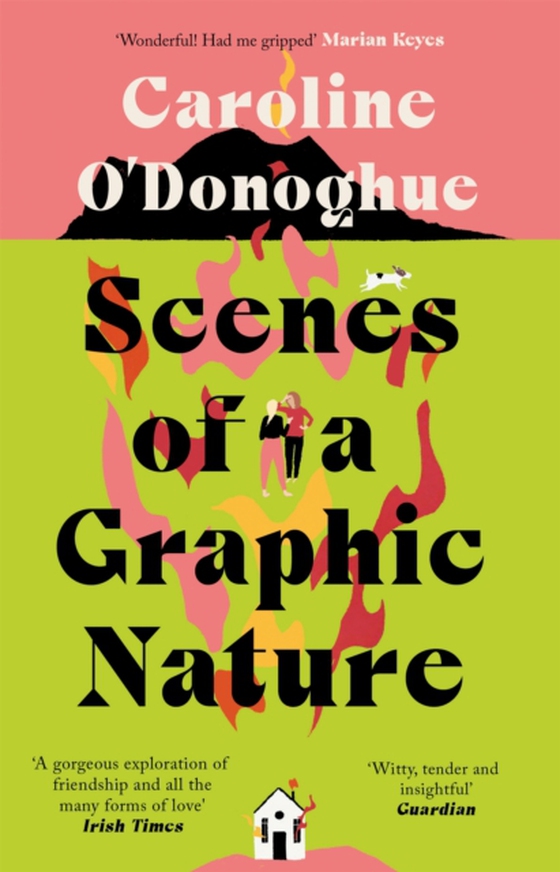 Scenes of a Graphic Nature (e-bog) af O'Donoghue, Caroline