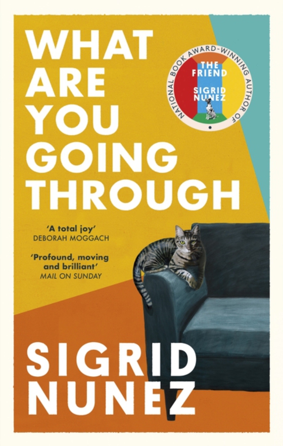 What Are You Going Through (e-bog) af Nunez, Sigrid