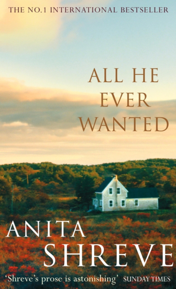 All He Ever Wanted (e-bog) af Shreve, Anita