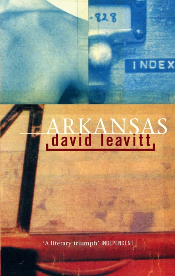 Arkansas (e-bog) af Leavitt, David
