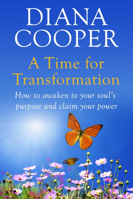 Time For Transformation (e-bog) af Cooper, Diana