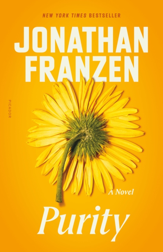 Purity (e-bog) af Franzen, Jonathan