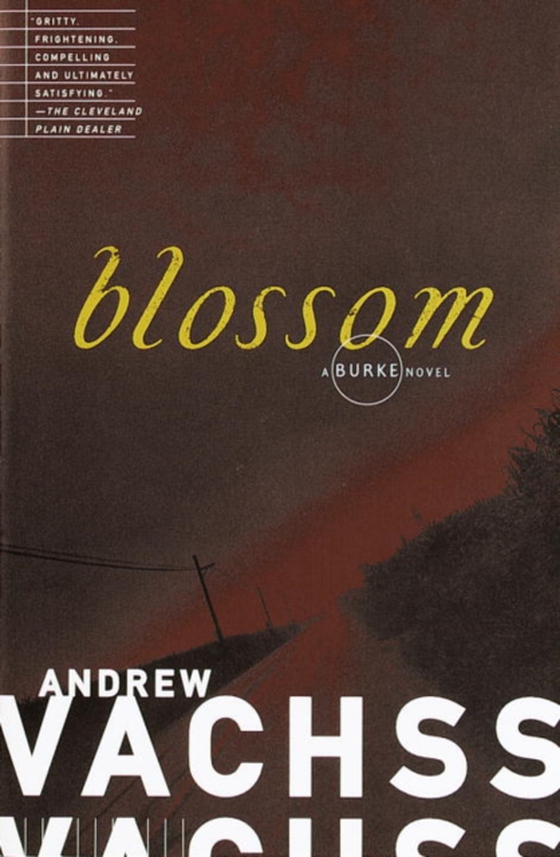 Blossom (e-bog) af Vachss, Andrew