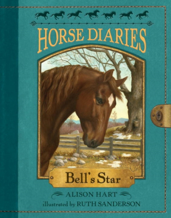 Horse Diaries #2: Bell's Star (e-bog) af Hart, Alison