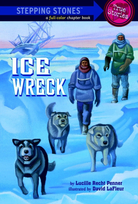 Ice Wreck (e-bog) af Penner, Lucille Recht