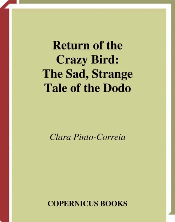 Return of the Crazy Bird