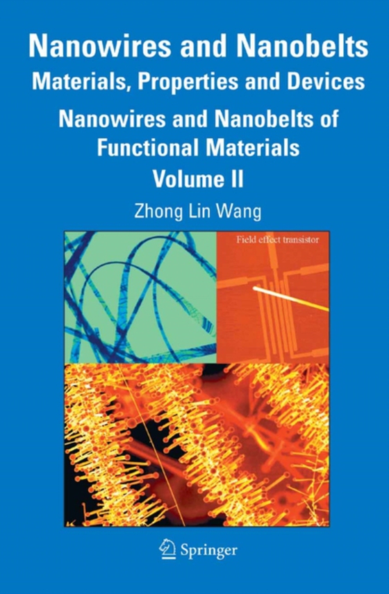 Nanowires and Nanobelts: Materials, Properties and Devices (e-bog) af -