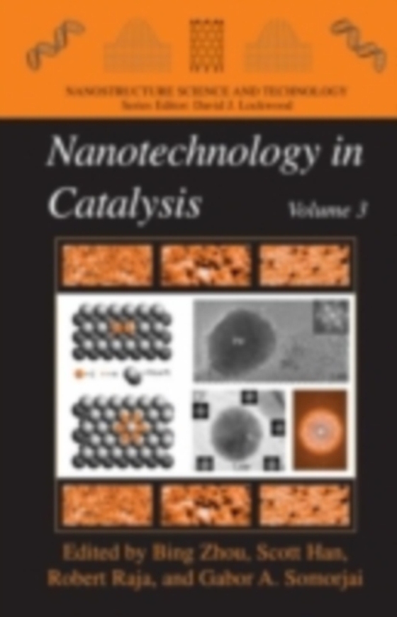 Nanotechnology in Catalysis 3 (e-bog) af -