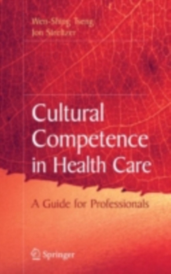 Cultural Competence in Health Care (e-bog) af Streltzer, Jon