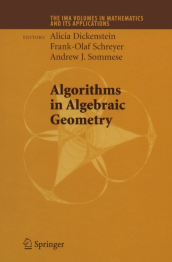 Algorithms in Algebraic Geometry (e-bog) af -