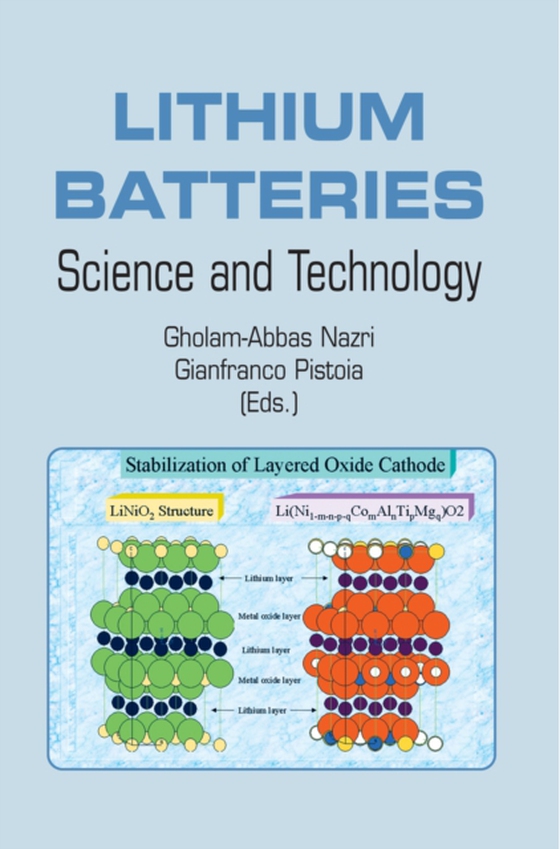 Lithium Batteries (e-bog) af -