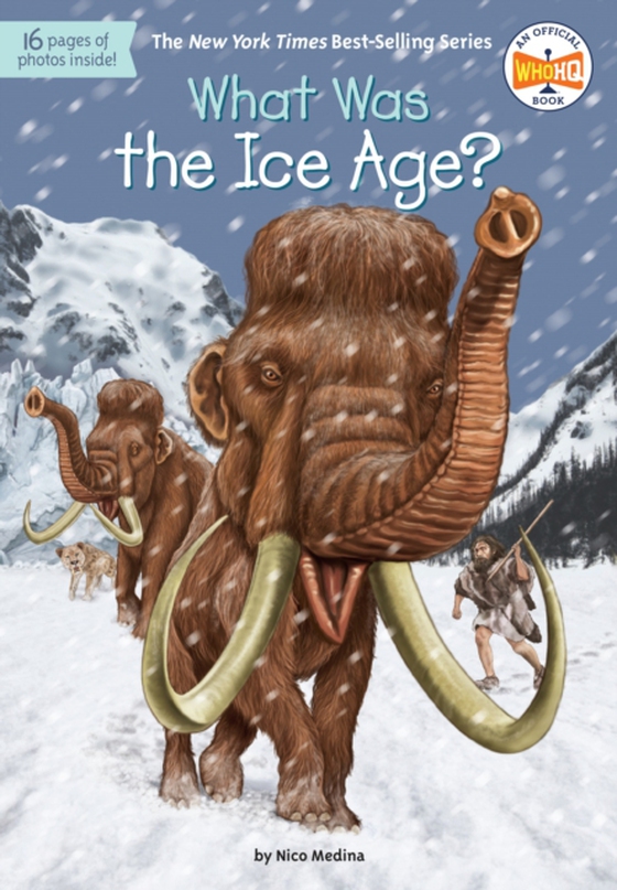 What Was the Ice Age? (e-bog) af Groff, David