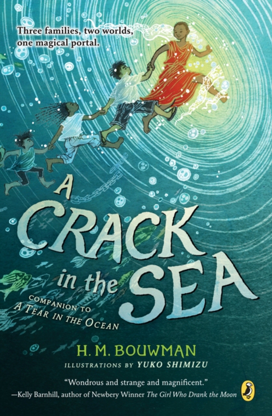 Crack in the Sea (e-bog) af Bouwman, H. M.