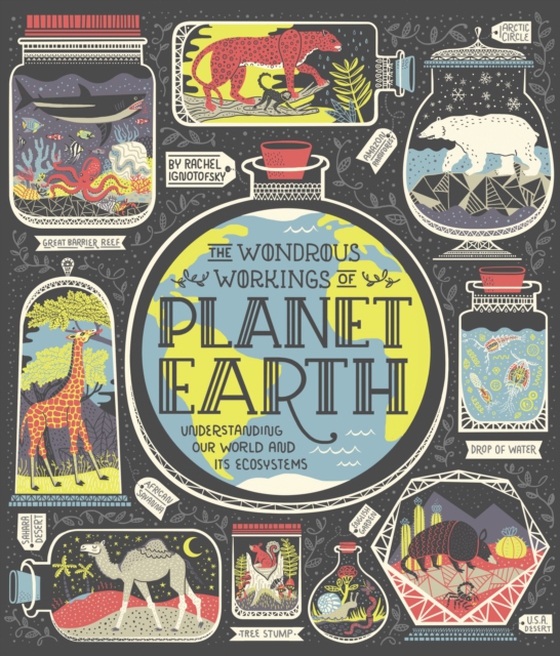 Wondrous Workings of Planet Earth (e-bog) af Ignotofsky, Rachel