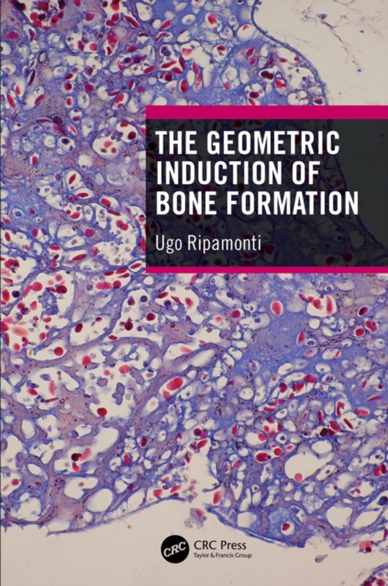 Geometric Induction of Bone Formation (e-bog) af Ripamonti, Ugo