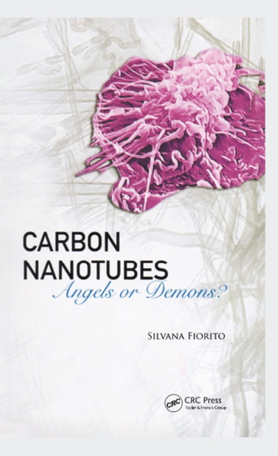 Carbon Nanotubes (e-bog) af Fiorito, Silvana