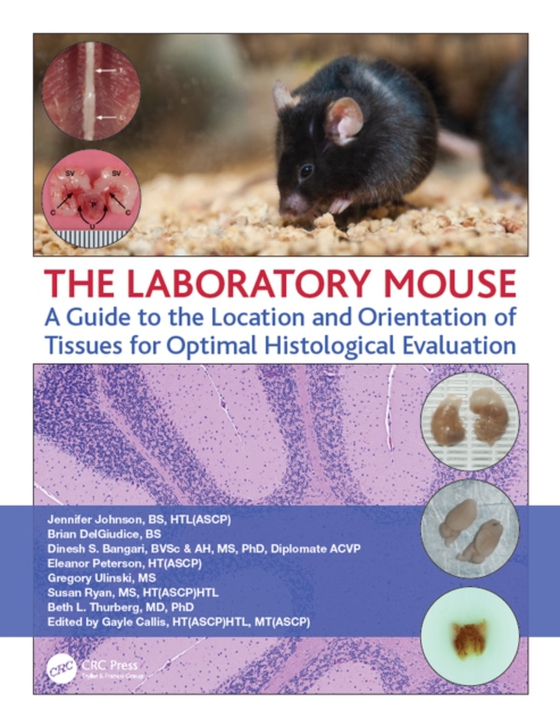 Laboratory Mouse (e-bog) af Thurberg, Beth