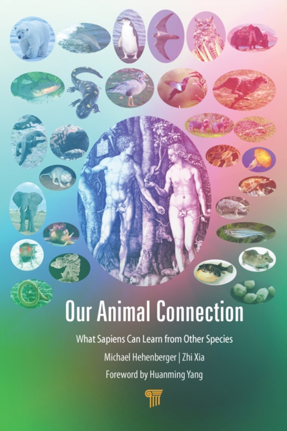 Our Animal Connection