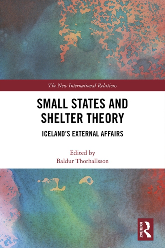 Small States and Shelter Theory (e-bog) af -