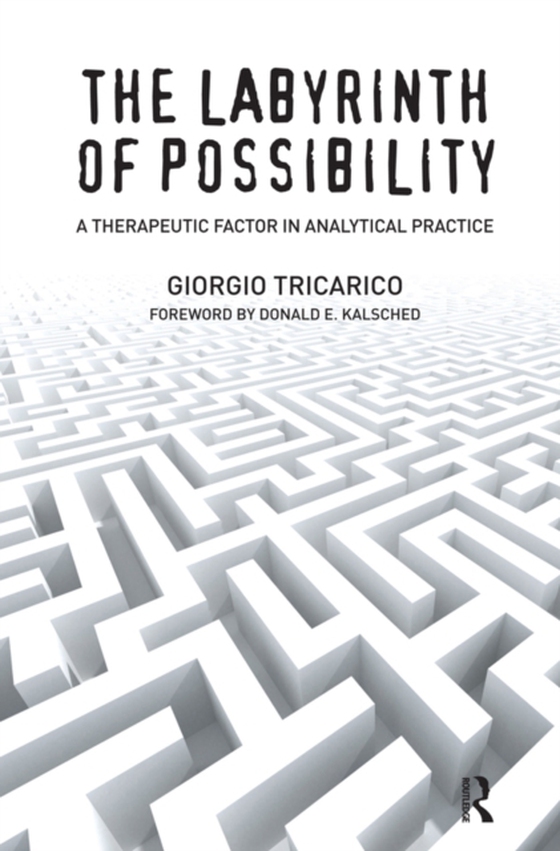 Labyrinth of Possibility (e-bog) af Tricarico, Giorgio