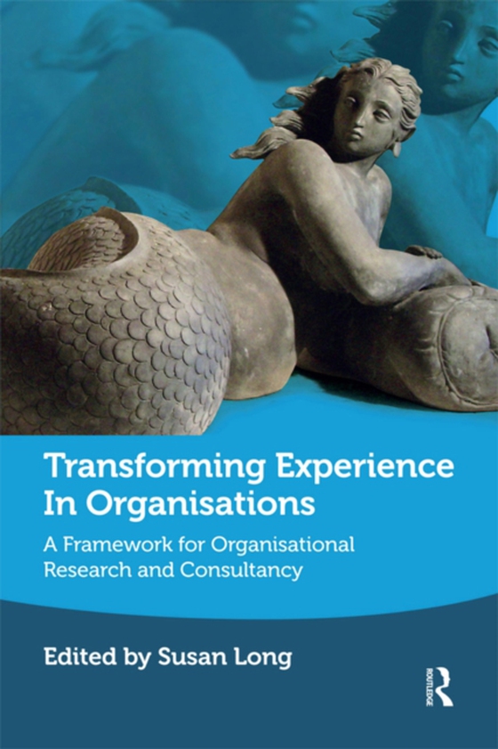 Transforming Experience in Organisations (e-bog) af Long, Susan