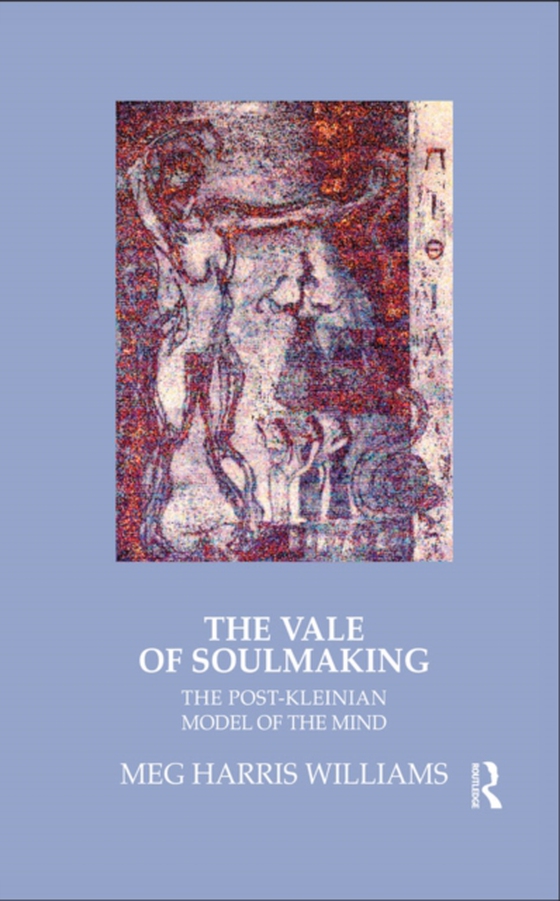 Vale of Soulmaking (e-bog) af Williams, Meg Harris