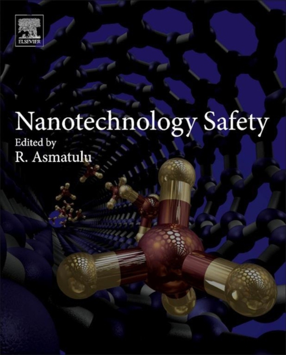 Nanotechnology Safety (e-bog) af -