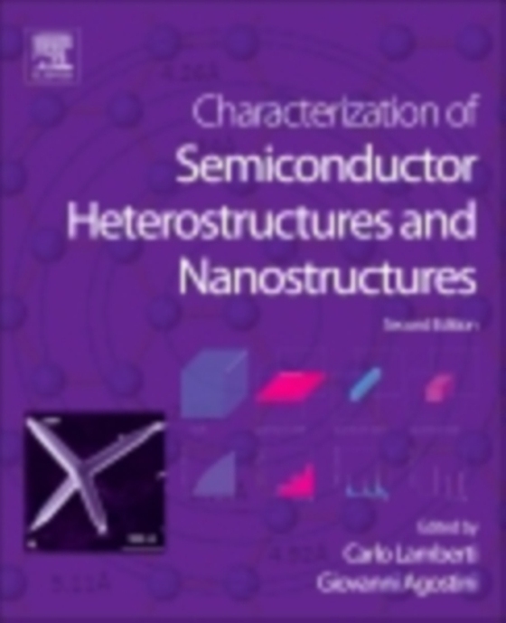 Characterization of Semiconductor Heterostructures and Nanostructures (e-bog) af -