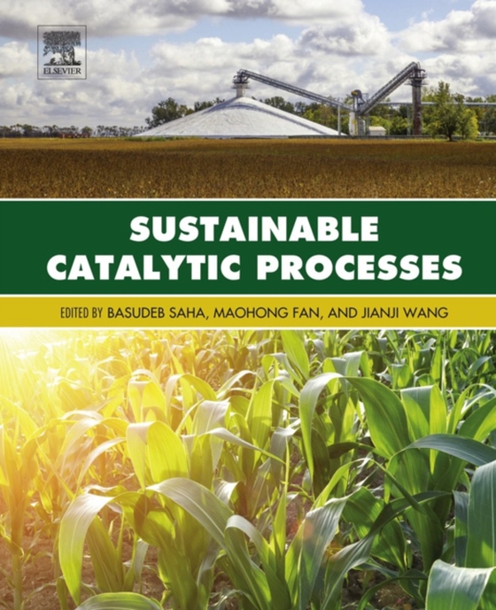 Sustainable Catalytic Processes (e-bog) af -