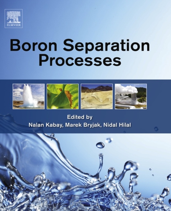 Boron Separation Processes (e-bog) af -