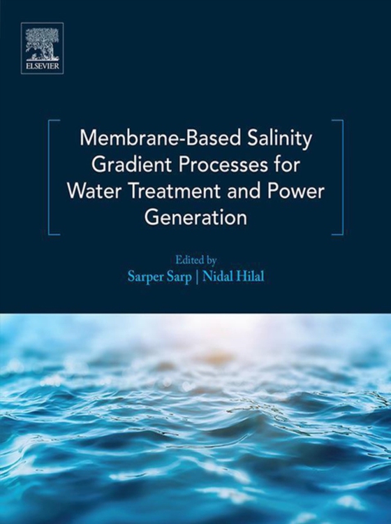 Membrane-Based Salinity Gradient Processes for Water Treatment and Power Generation (e-bog) af -