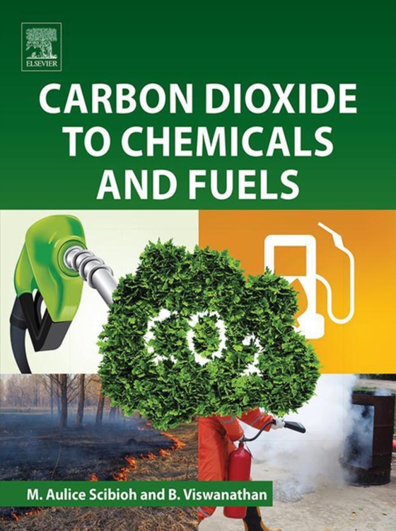 Carbon Dioxide to Chemicals and Fuels (e-bog) af Viswanathan, B.