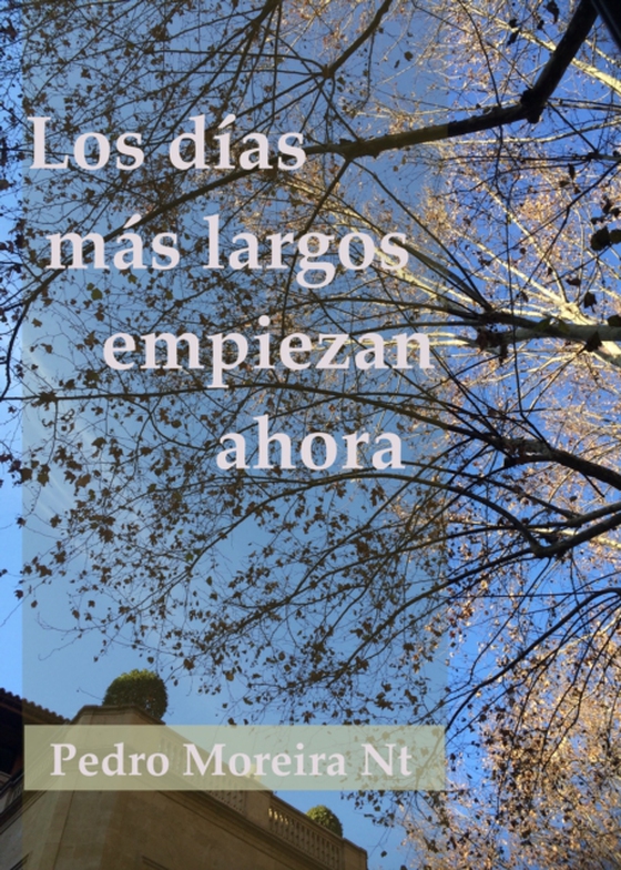 Los dias mas largos empiezan ahora (e-bog) af Nt, Pedro Moreira