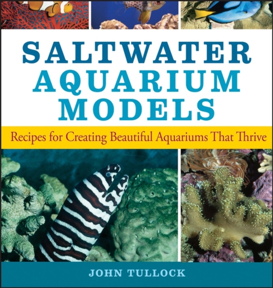 Saltwater Aquarium Models (e-bog) af Tullock, John H.