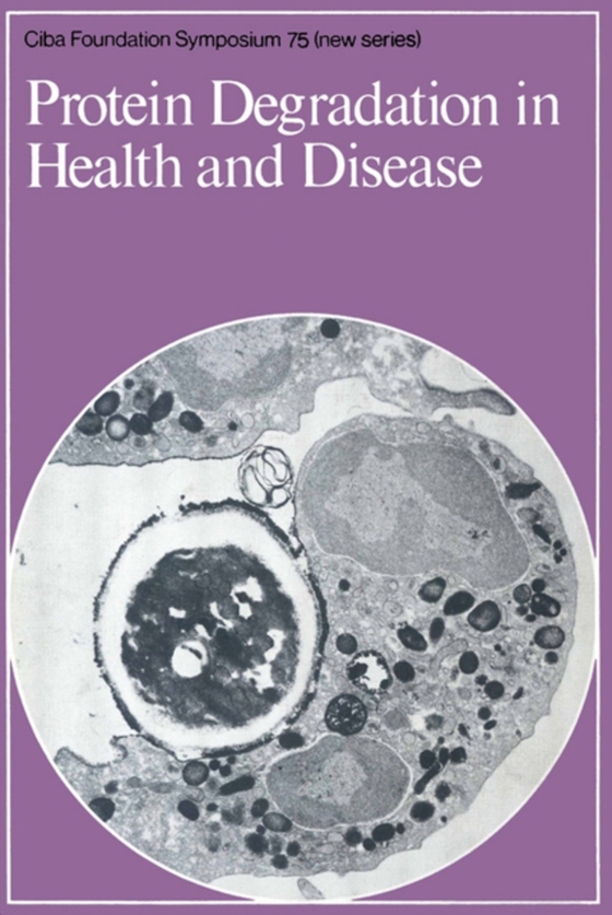 Protein Degradation in Health and Disease (e-bog) af -