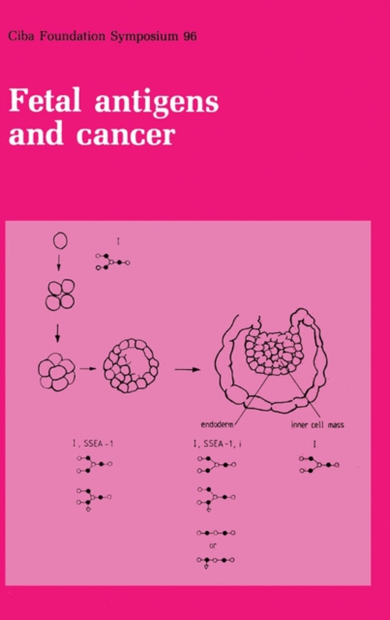 Fetal Antigens and Cancer (e-bog) af -