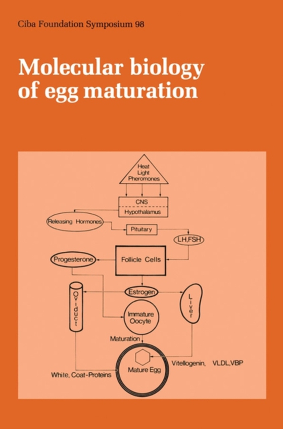 Molecular Biology of Egg Maturation (e-bog) af -