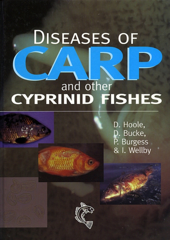 Diseases of Carp and Other Cyprinid Fishes (e-bog) af -