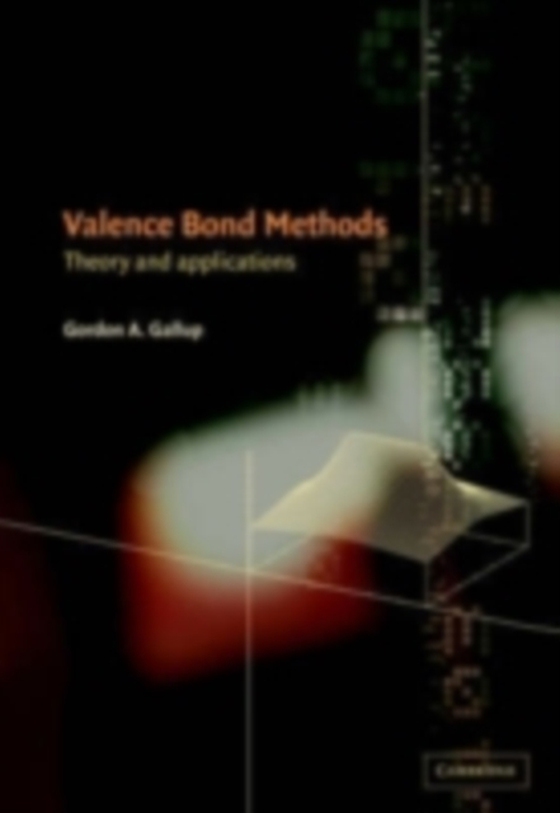 Valence Bond Methods (e-bog) af Gallup, Gordon A.