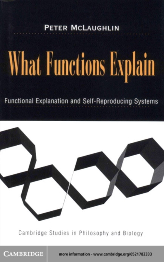 What Functions Explain (e-bog) af McLaughlin, Peter