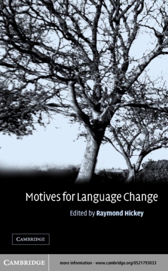 Motives for Language Change (e-bog) af -