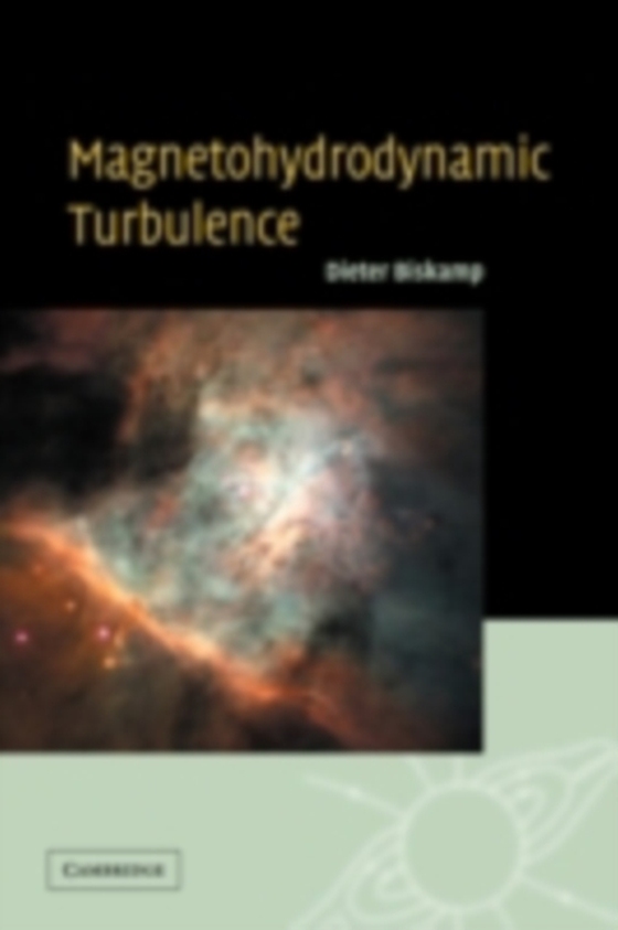 Magnetohydrodynamic Turbulence (e-bog) af Biskamp, Dieter