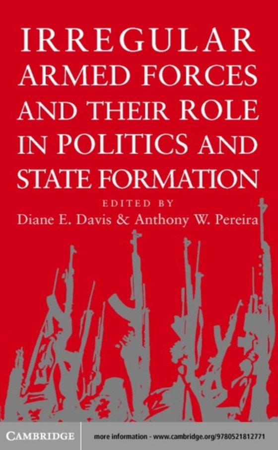 Irregular Armed Forces and their Role in Politics and State Formation (e-bog) af -