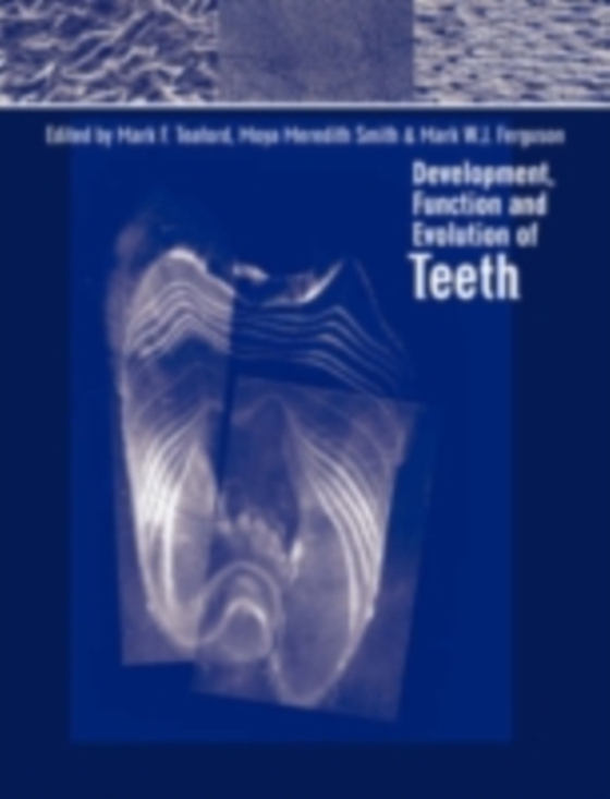 Development, Function and Evolution of Teeth (e-bog) af -