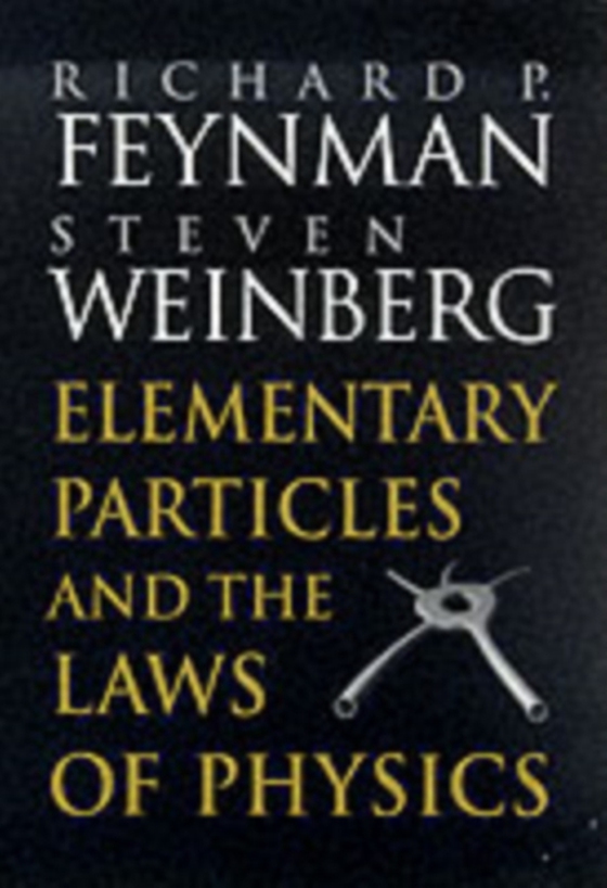 Elementary Particles and the Laws of Physics (e-bog) af Weinberg, Steven