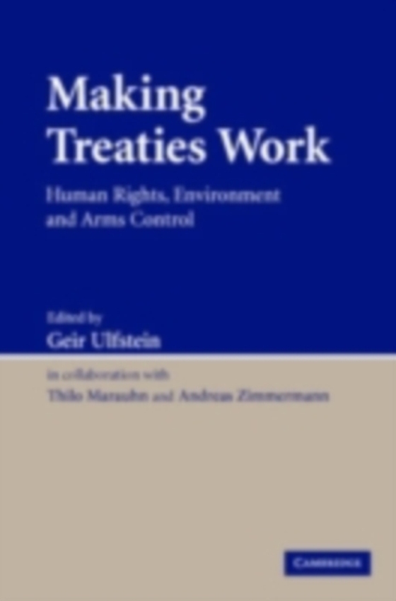 Making Treaties Work (e-bog) af -