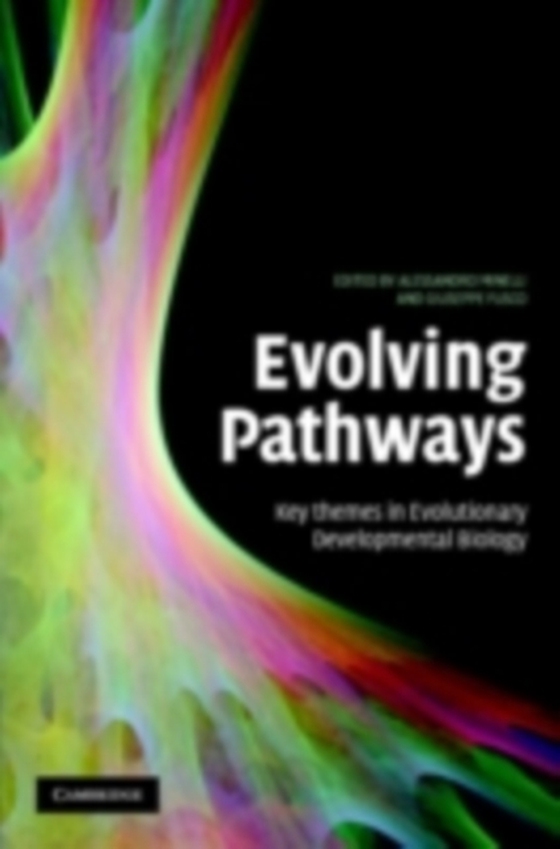 Evolving Pathways (e-bog) af Fusco, Giuseppe